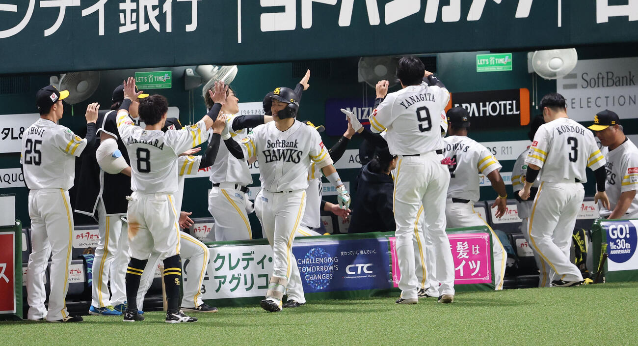 ソフトバンク対日本ハム　8回裏ソフトバンク2死一塁、野村勇は中越えに勝ち越し2点本塁打を放ちベンチのナインとハイタッチ（撮影・梅根麻紀）