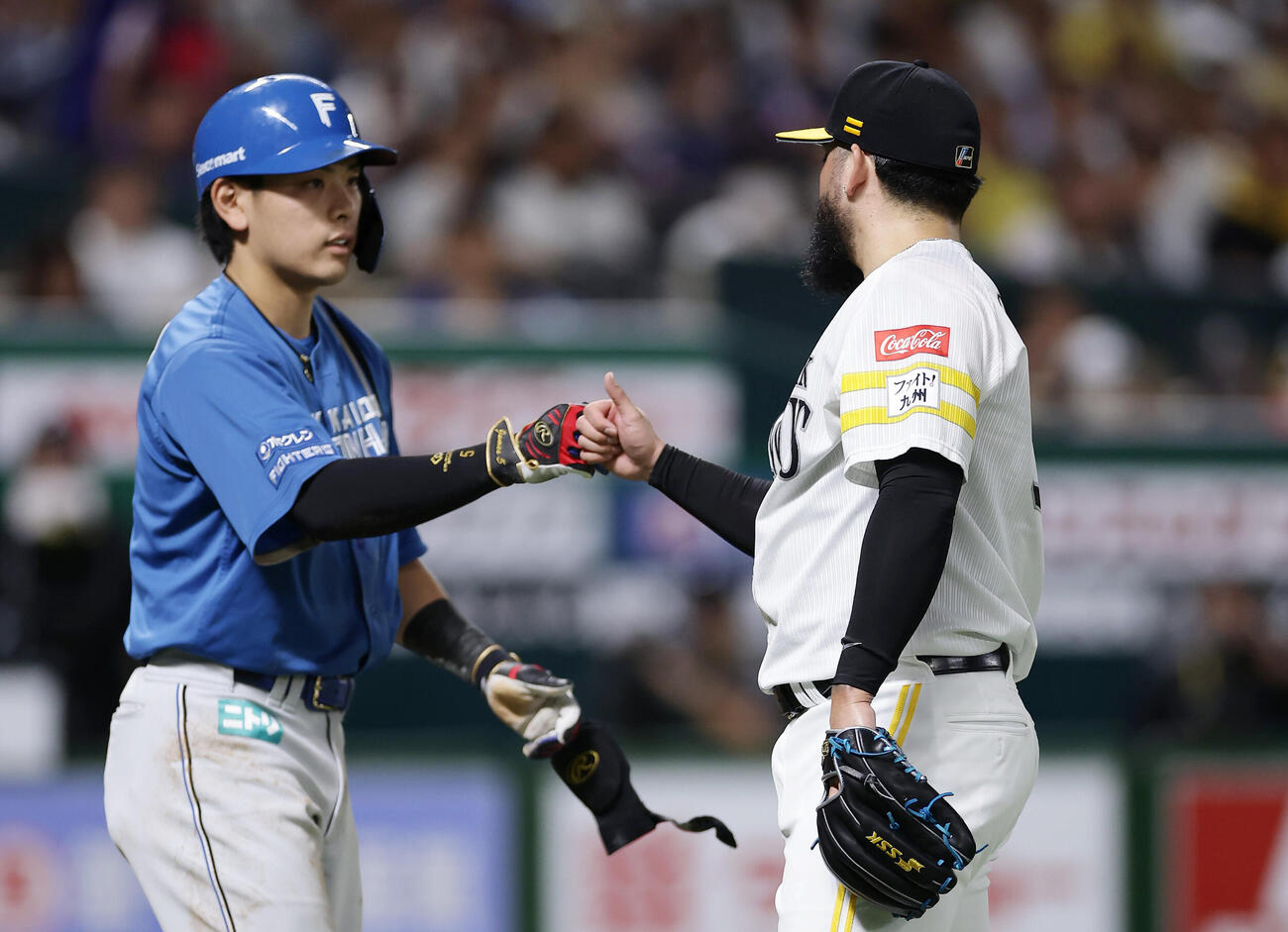 ソフトバンク対日本ハム　8回表日本ハム1死満塁、頭部に死球を受け、ロベルト・オスナ（右）からグータッチで謝罪される野村佑希（撮影・前田充）