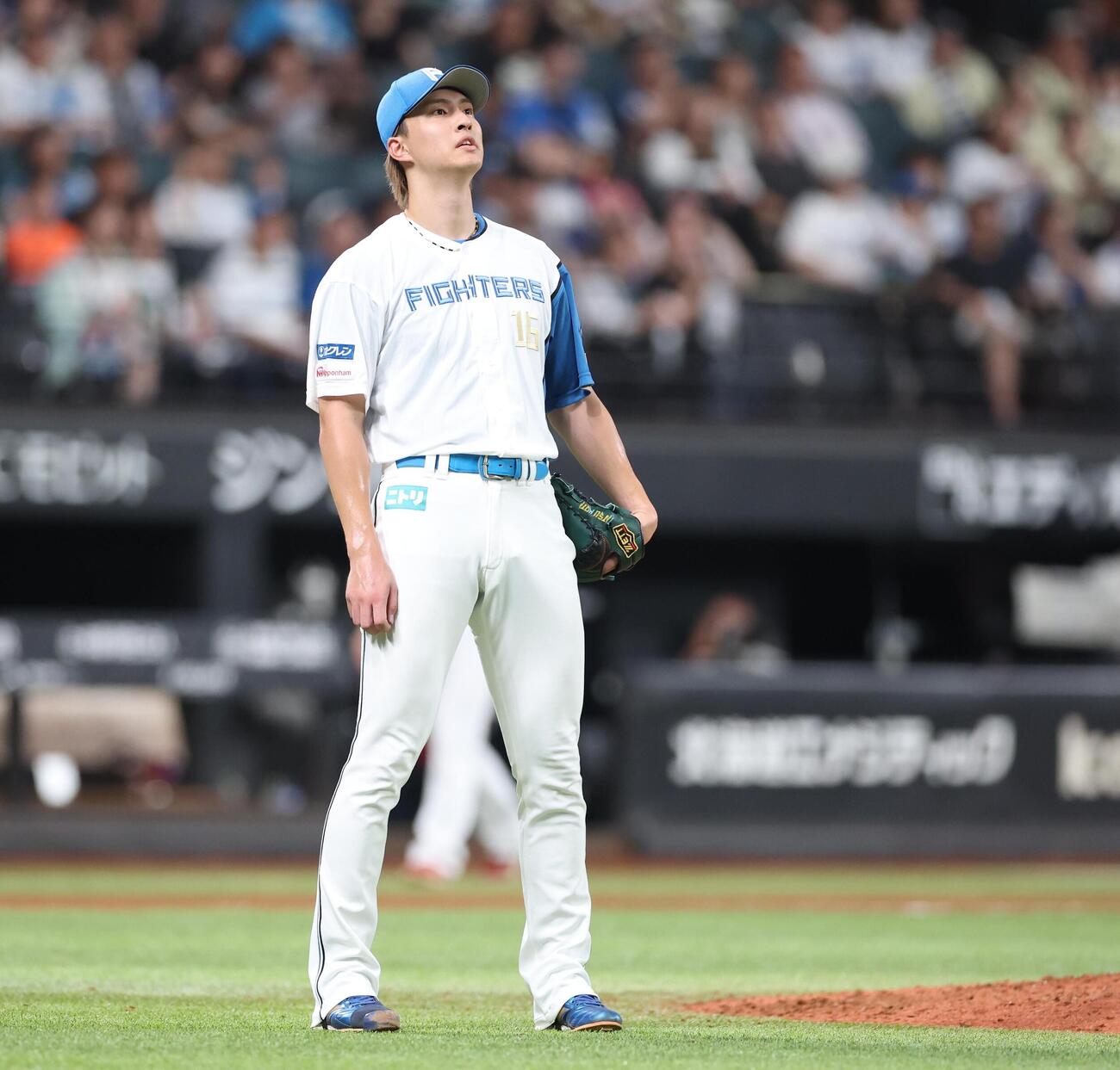 日本ハム対楽天　6回表、黒川史陽に本塁打を浴びる達孝太（撮影・黒川智章）