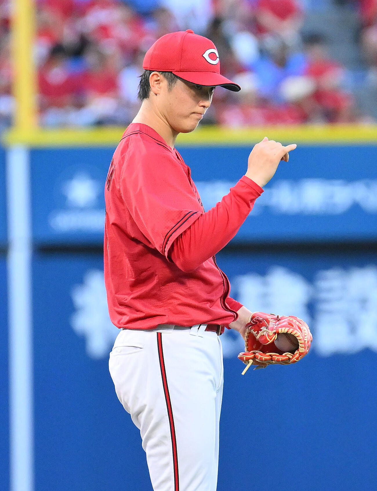DeNA対広島　試合に臨む広島先発の森下暢仁（撮影・滝沢徹郎）