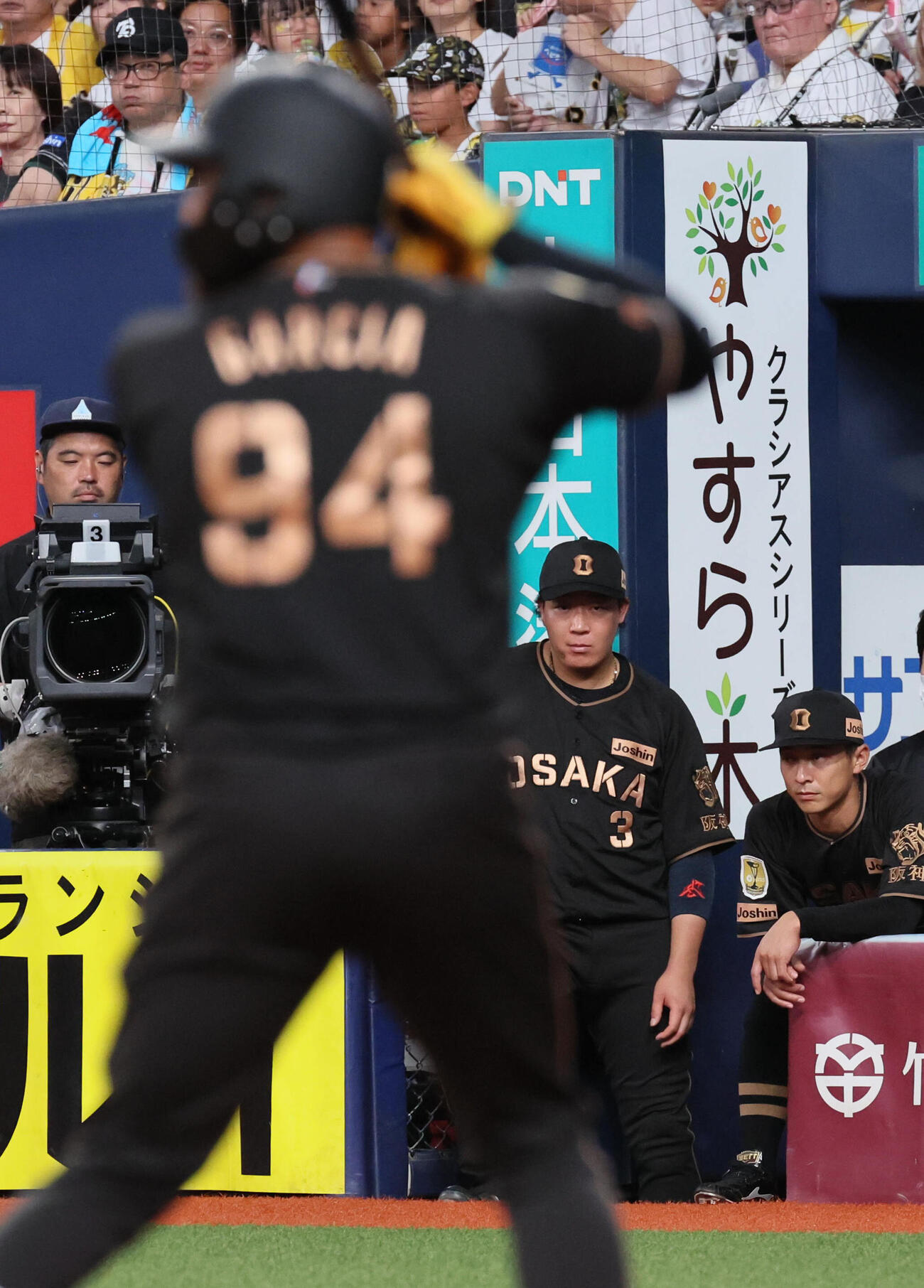 阪神対中日　4回裏阪神2死、打席のデルミス・ガルシアを見つめる大山悠輔（撮影・宮崎幸一）