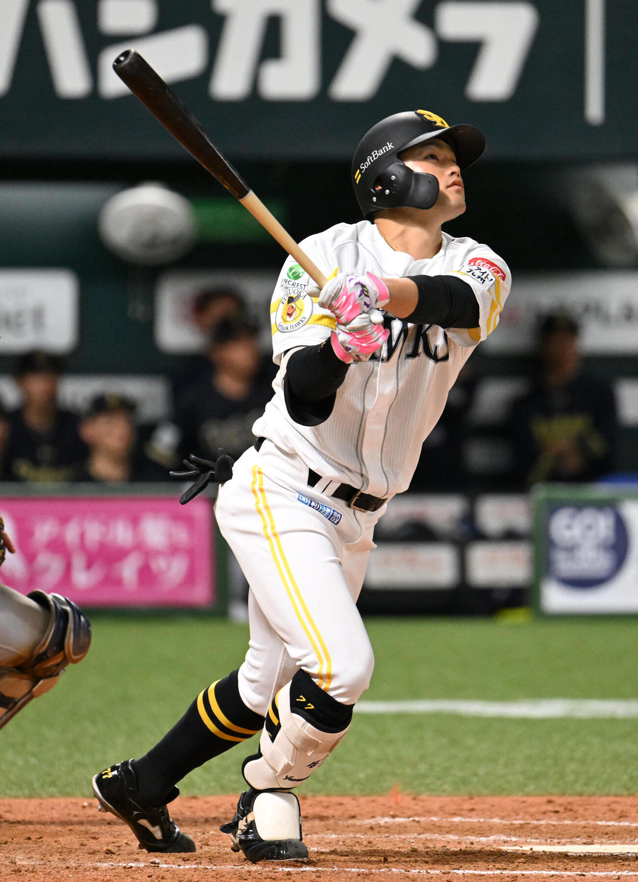ソフトバンク山本恵大（2026年7月撮影）