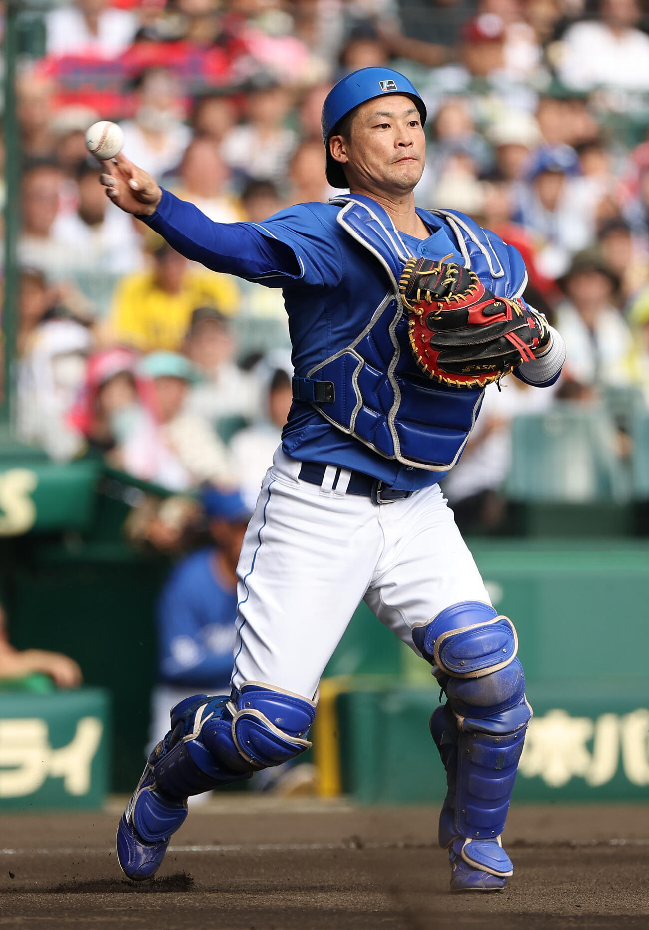 中日加藤匠馬（25年9月撮影）