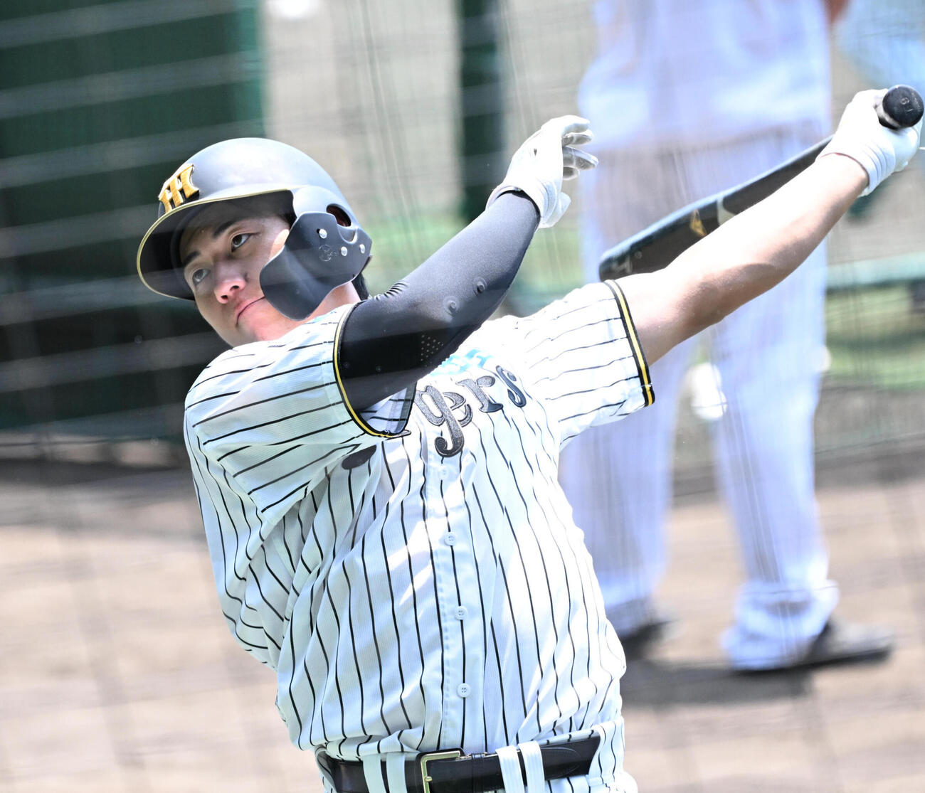 打撃練習をする阪神立石正広人（2026年撮影）
