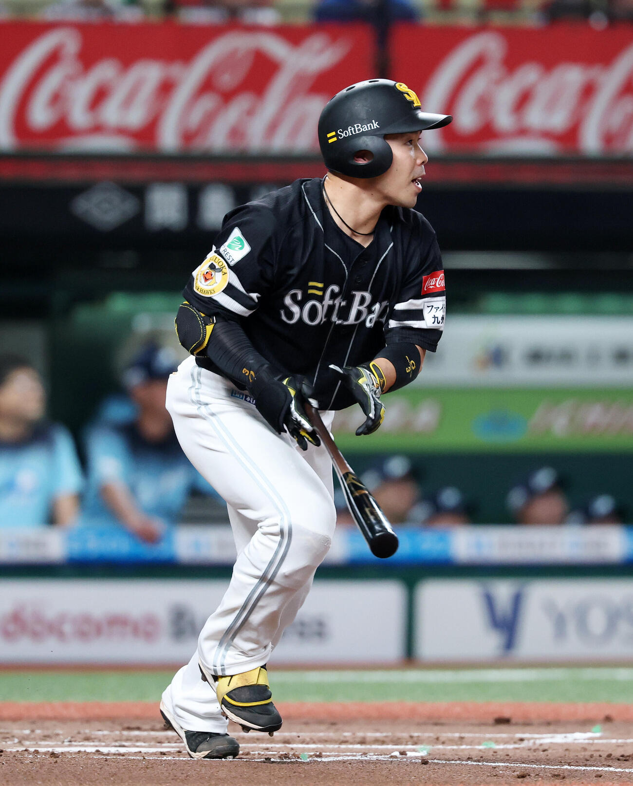 西武対ソフトバンク　2回表ソフトバンク無死、近藤健介はソロ本塁打を放つ（撮影・鈴木正人）