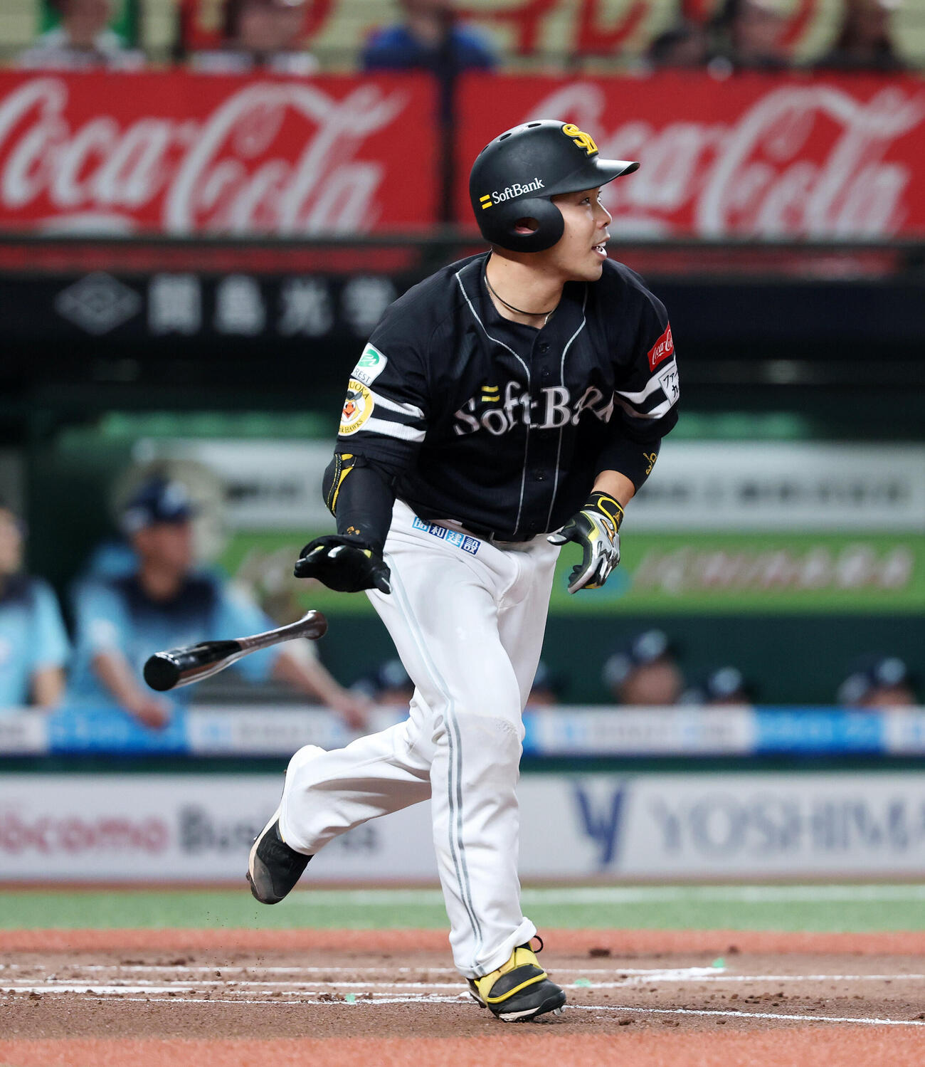 西武対ソフトバンク　2回表ソフトバンク無死、近藤健介はソロ本塁打を放つ（撮影・鈴木正人）