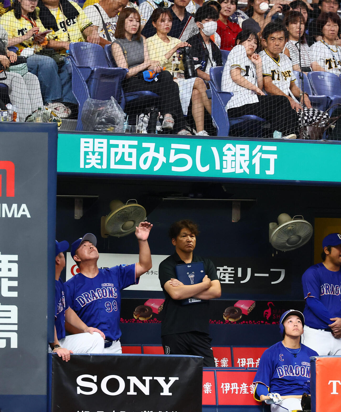 阪神対中日　6回表中日1死一塁、石伊雄太のファウルボールをベンチ内で避ける井上一樹監督（撮影・加藤哉）