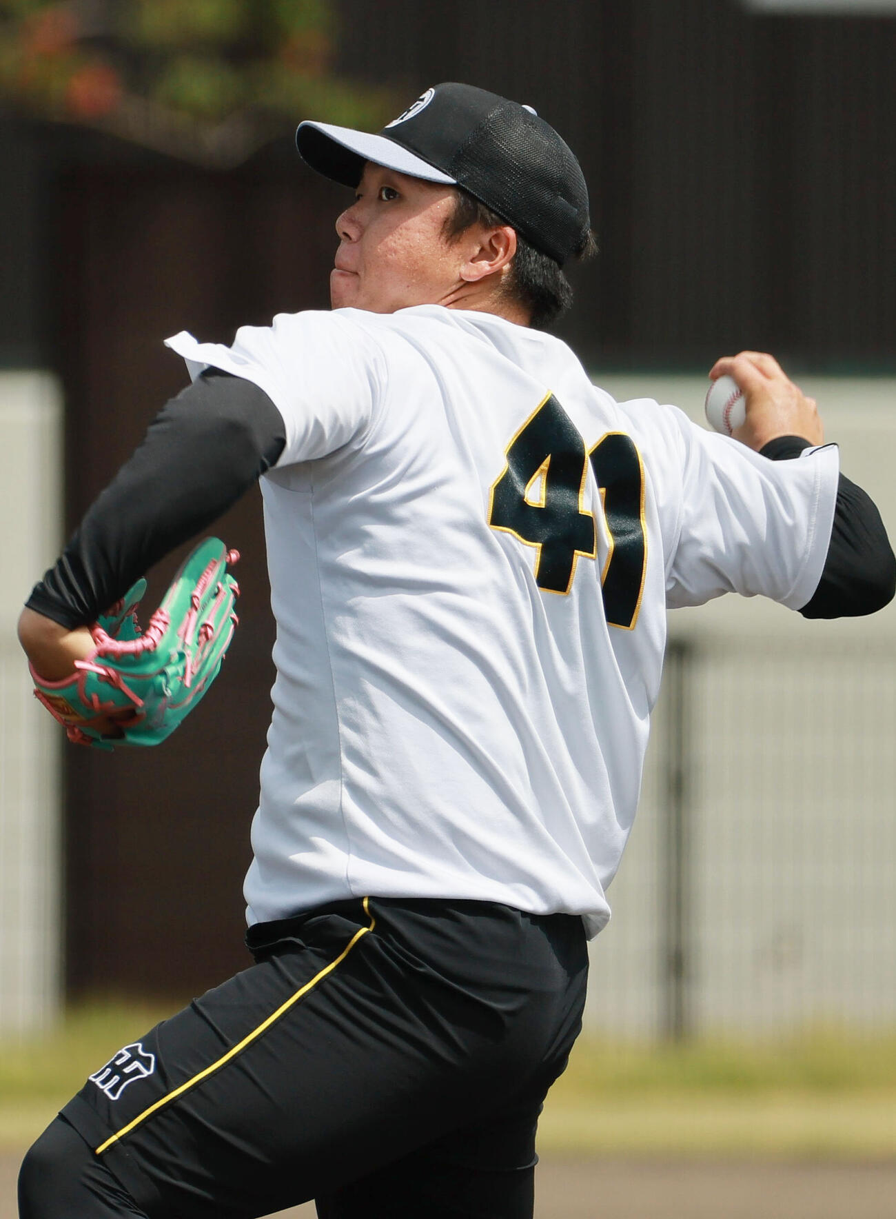 投手指名練習でキャッチボールする阪神村上頌樹（撮影・上山淳一）