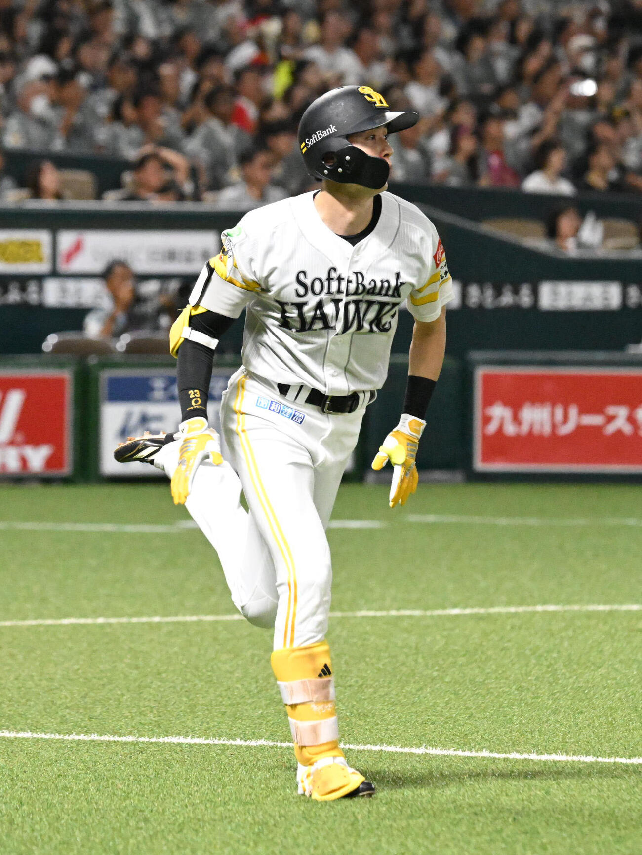 ソフトバンク対ロッテ　2回裏ソフトバンク2死、周東佑京は右越えに本塁打を放つ（撮影・林敢治）
