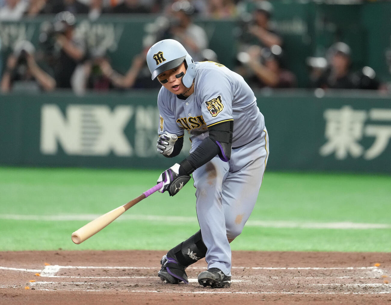 巨人対阪神　4回表阪神2死一、二塁、森下翔太は死球を受ける（撮影・足立雅史）