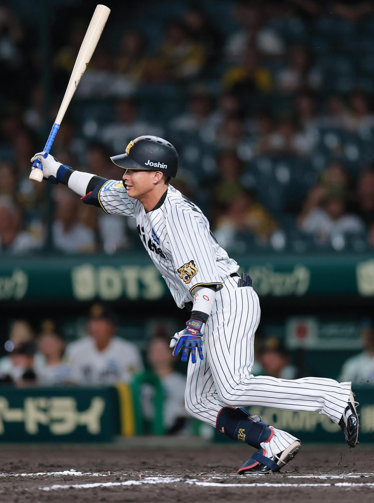 阪神木浪聖也（2026年7月2日撮影）