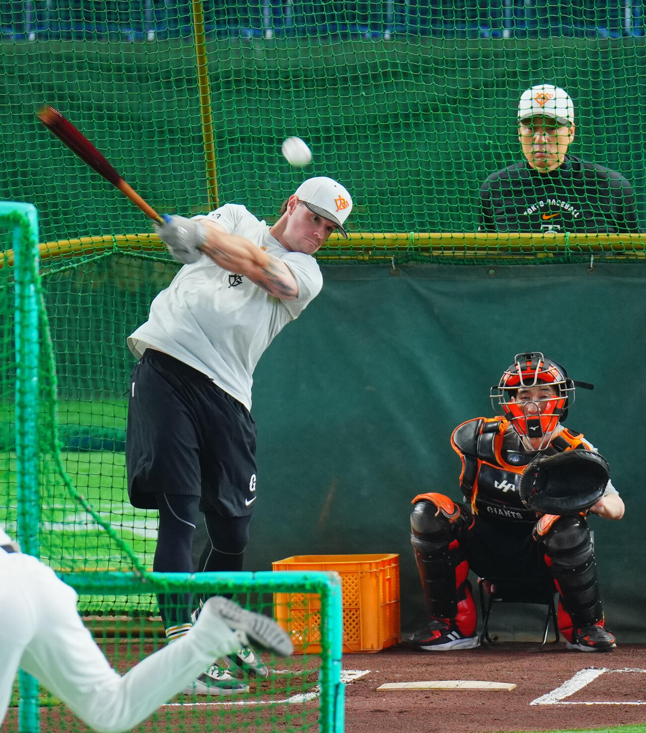 巨人対阪神　試合前打撃練習を行う巨人トレイ・キャベッジ（撮影・垰建太）