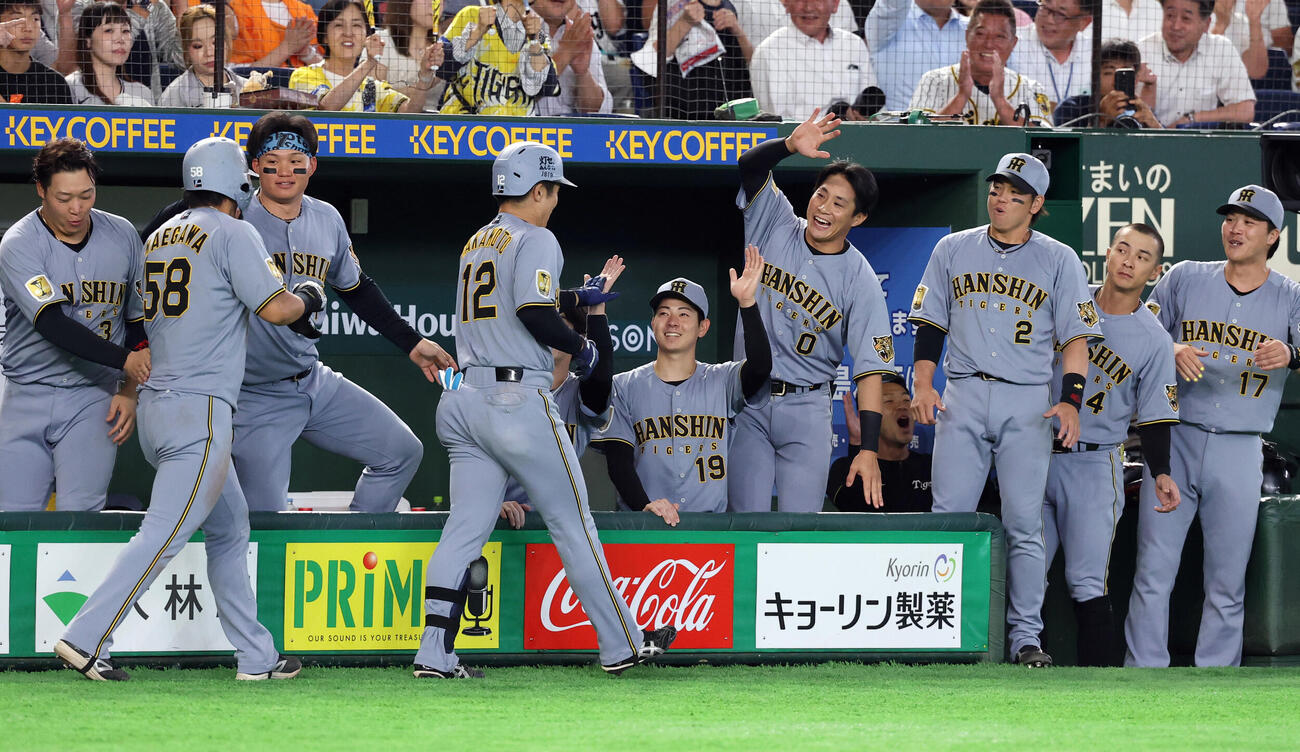 巨人対阪神　6回表阪神1死一塁、坂本誠志郎（手前）が2点本塁打を放ち笑顔で迎える下村海翔（中央）ら（撮影・浅見桂子）