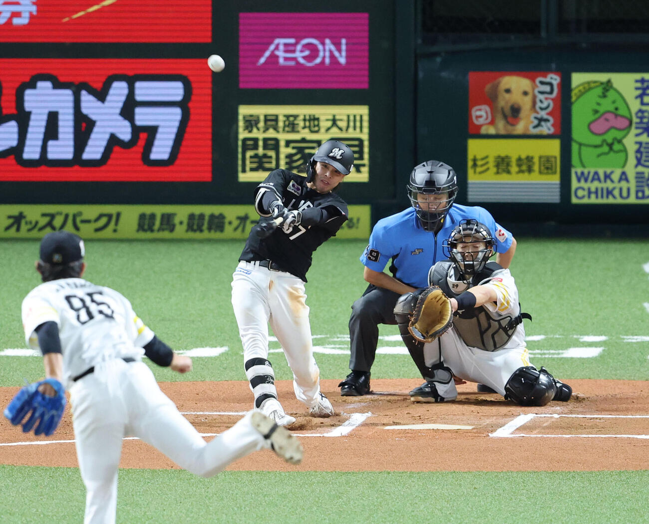 ソフトバンク対ロッテ　6回表ロッテ無死、小川龍成は右越え本塁打を放つ（撮影・梅根麻紀）