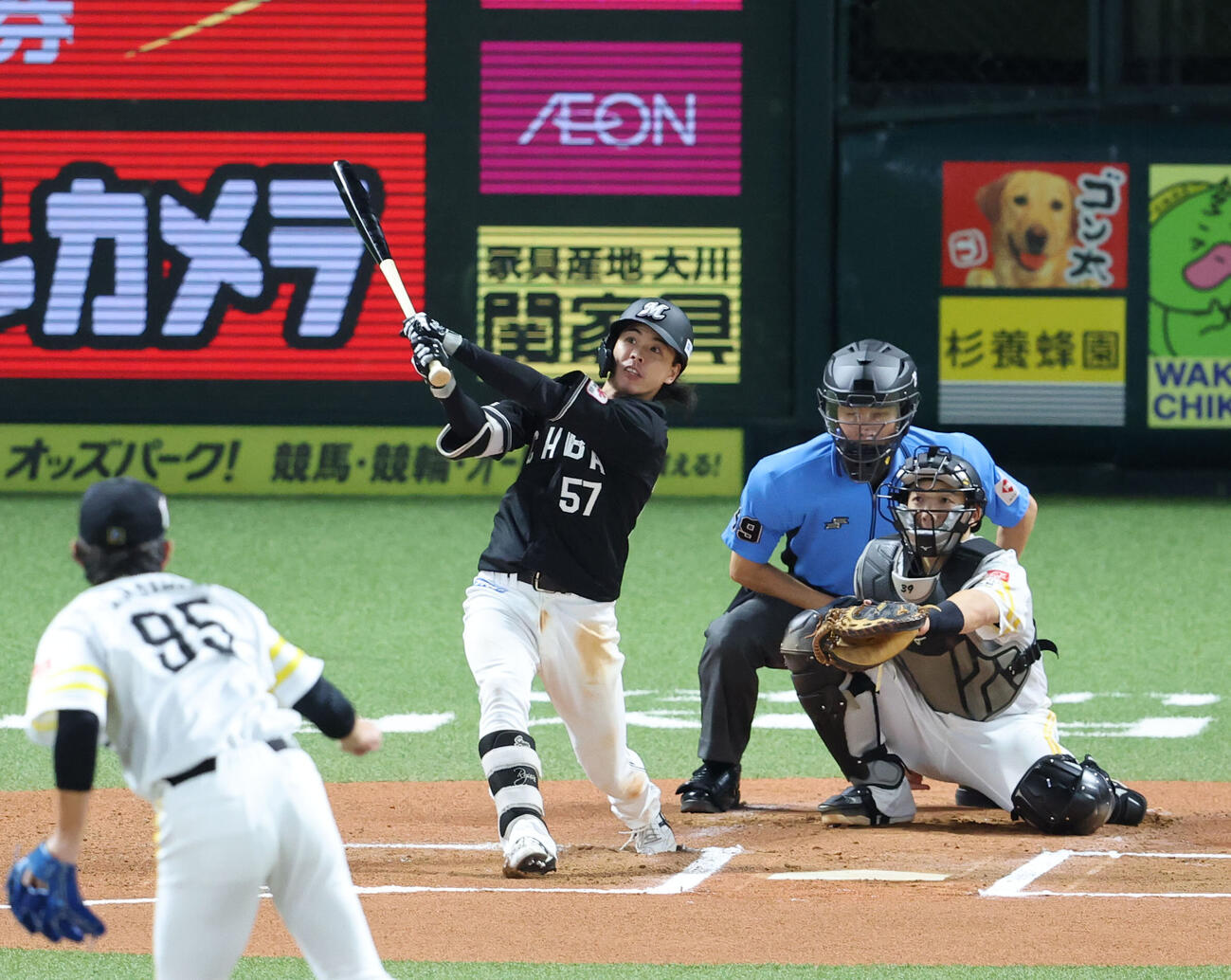 ソフトバンク対ロッテ　6回表ロッテ無死、小川龍成は右越え本塁打を放つ（撮影・梅根麻紀）