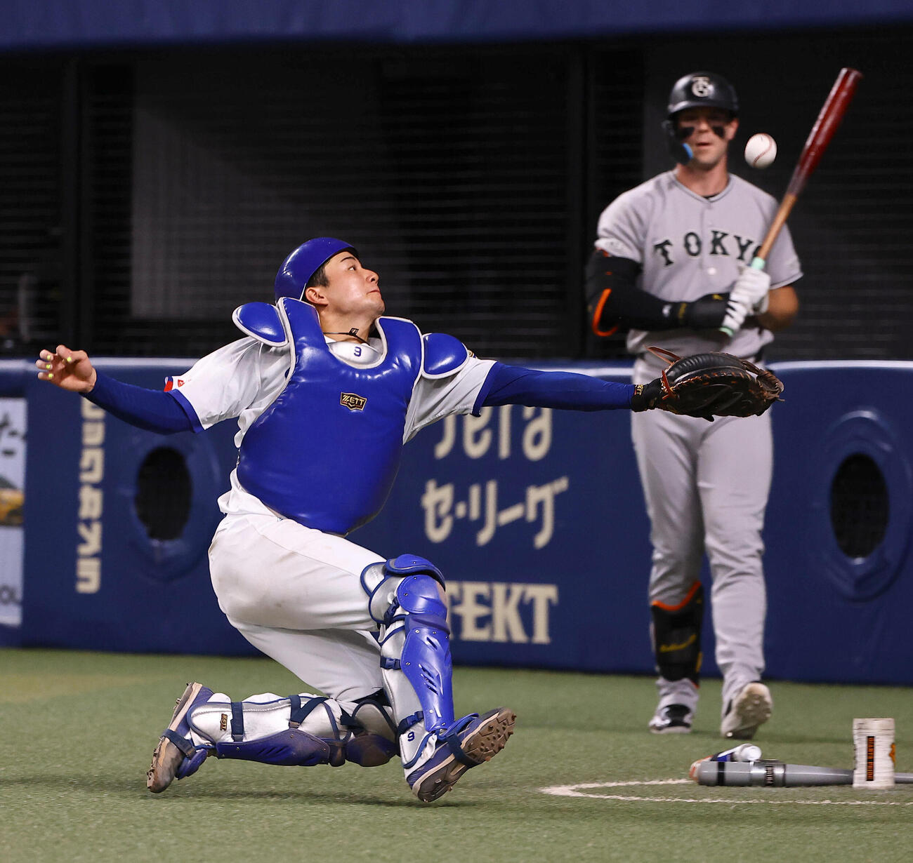 中日対巨人　8回表巨人無死、石伊雄太は浦田俊輔のバントを捕球する（撮影・上田博志）