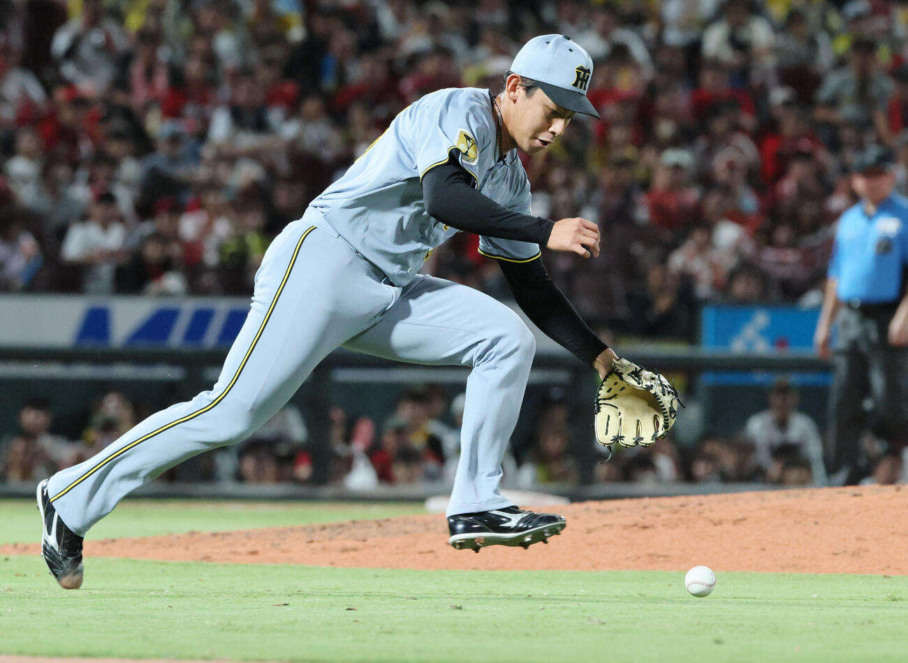 広島対阪神　7回裏広島、菊池涼介の投ゴロを処理する阪神3番手の神宮僚介（撮影・加藤孝規）