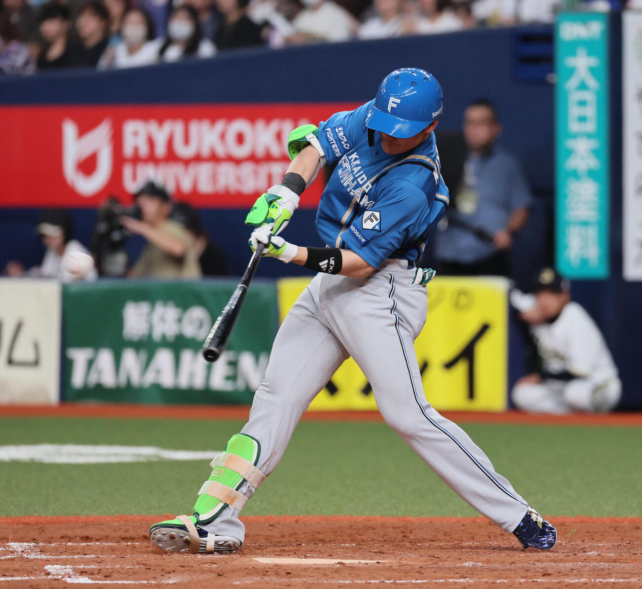 日本ハム清宮幸太郎（2026年7月撮影）