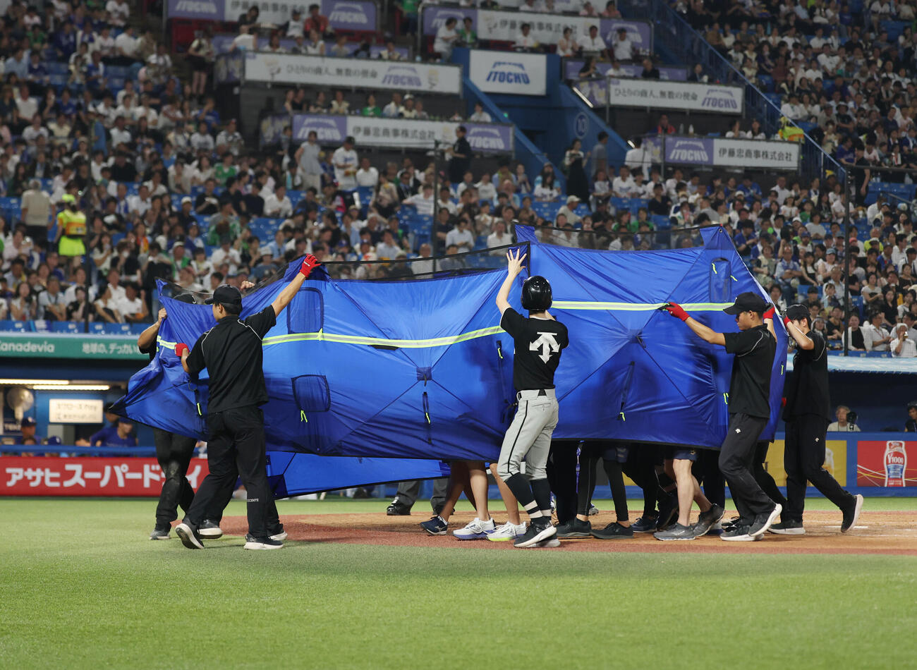 7月22日ヤクルト対中日　3回裏、顔面に自打球を受けブルーシートで覆われ運ばれる中村悠平