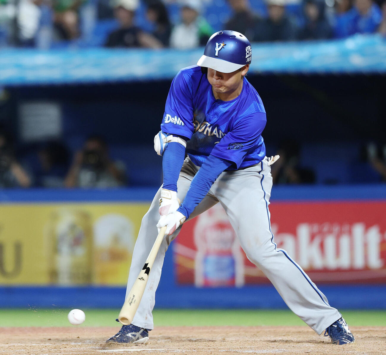 DeNA勝又温史（26年8月撮影）