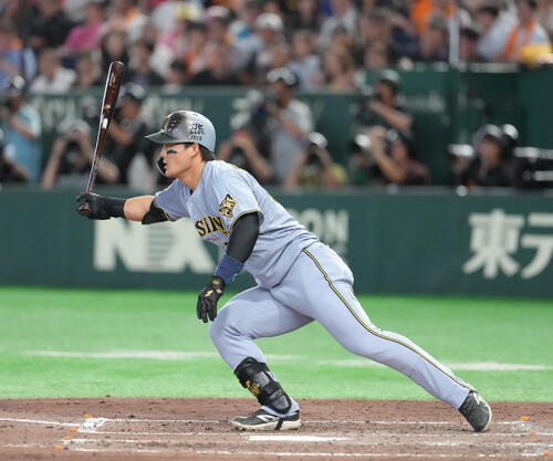 阪神前川右京(2026年8月12日撮影)