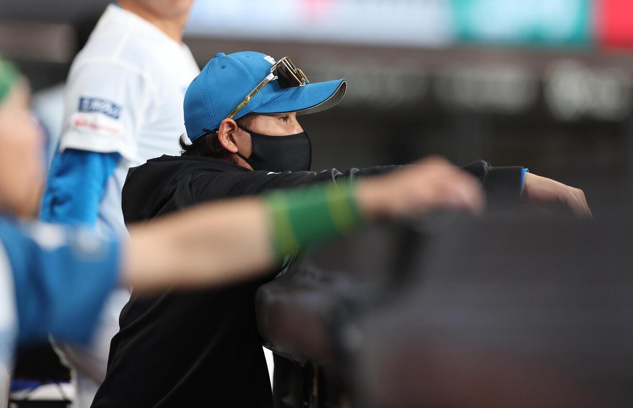 日本ハム対ソフトバンク　グラウンドを見つめる新庄剛志監督（撮影・黒川智章）
