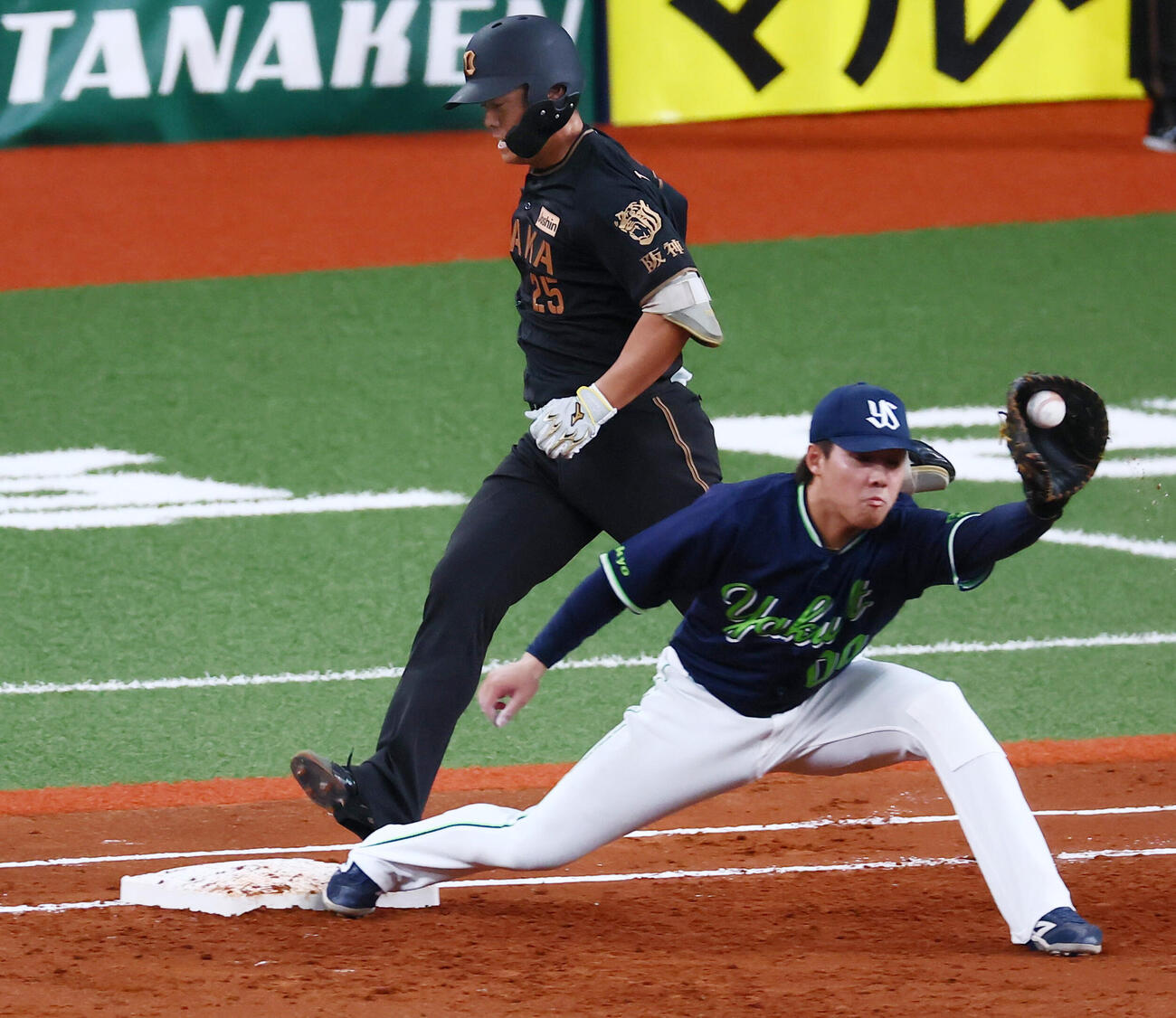 阪神対ヤクルト　2回裏阪神1死一塁、谷端将伍は三ゴロ併殺に倒れる。一塁手赤羽由紘（撮影・加藤哉）