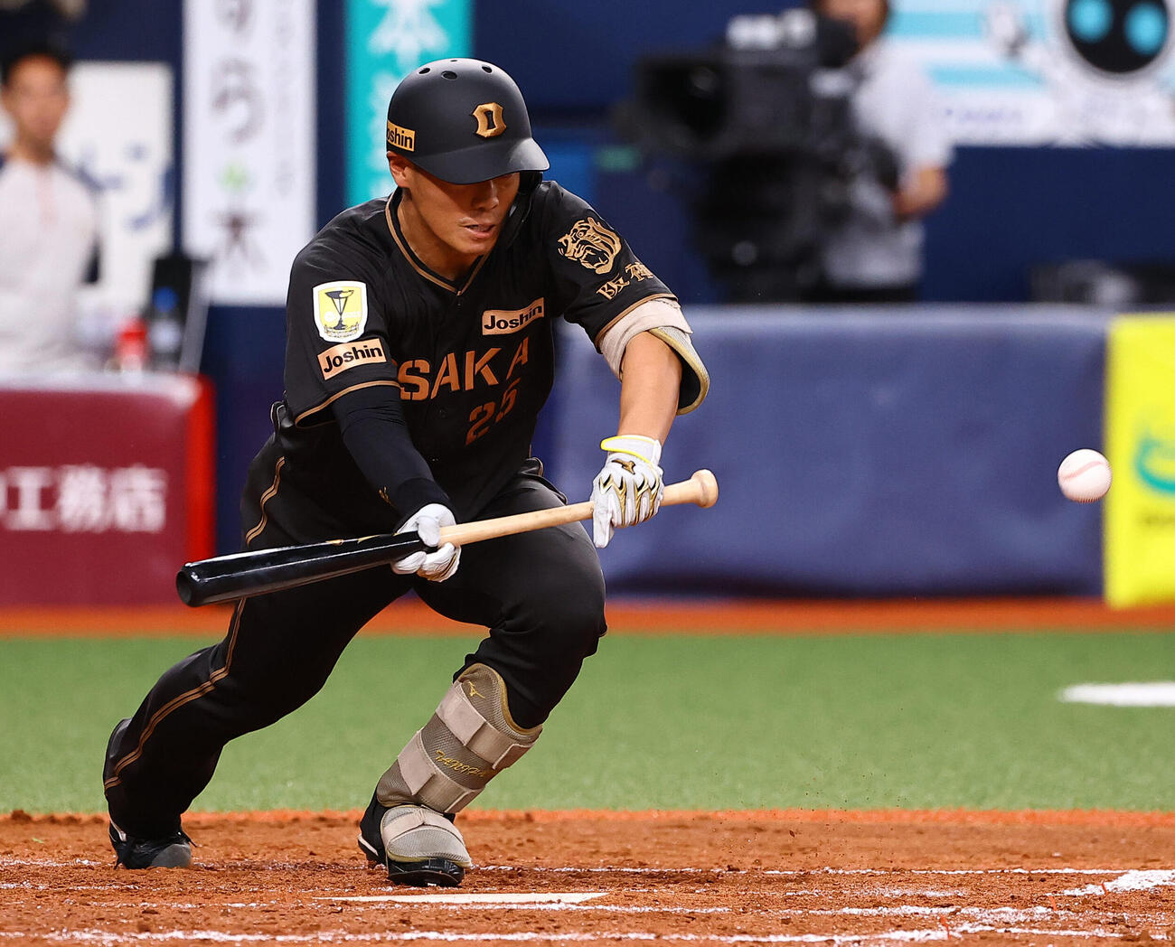阪神対ヤクルト　5回裏阪神無死一、二塁、谷端将伍は犠打を決める（撮影・上田博志）