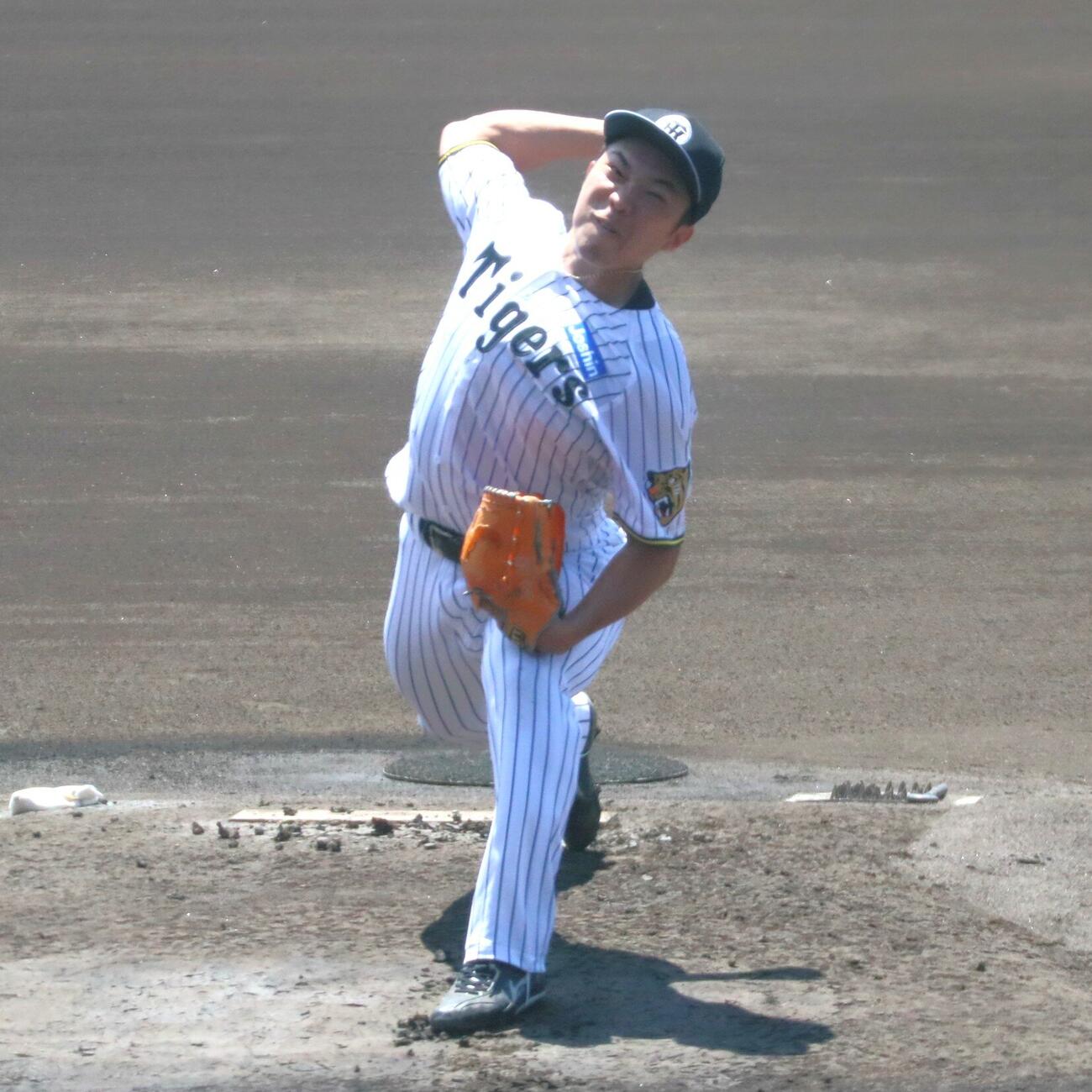 阪神石井大智（2026年8月5日撮影）