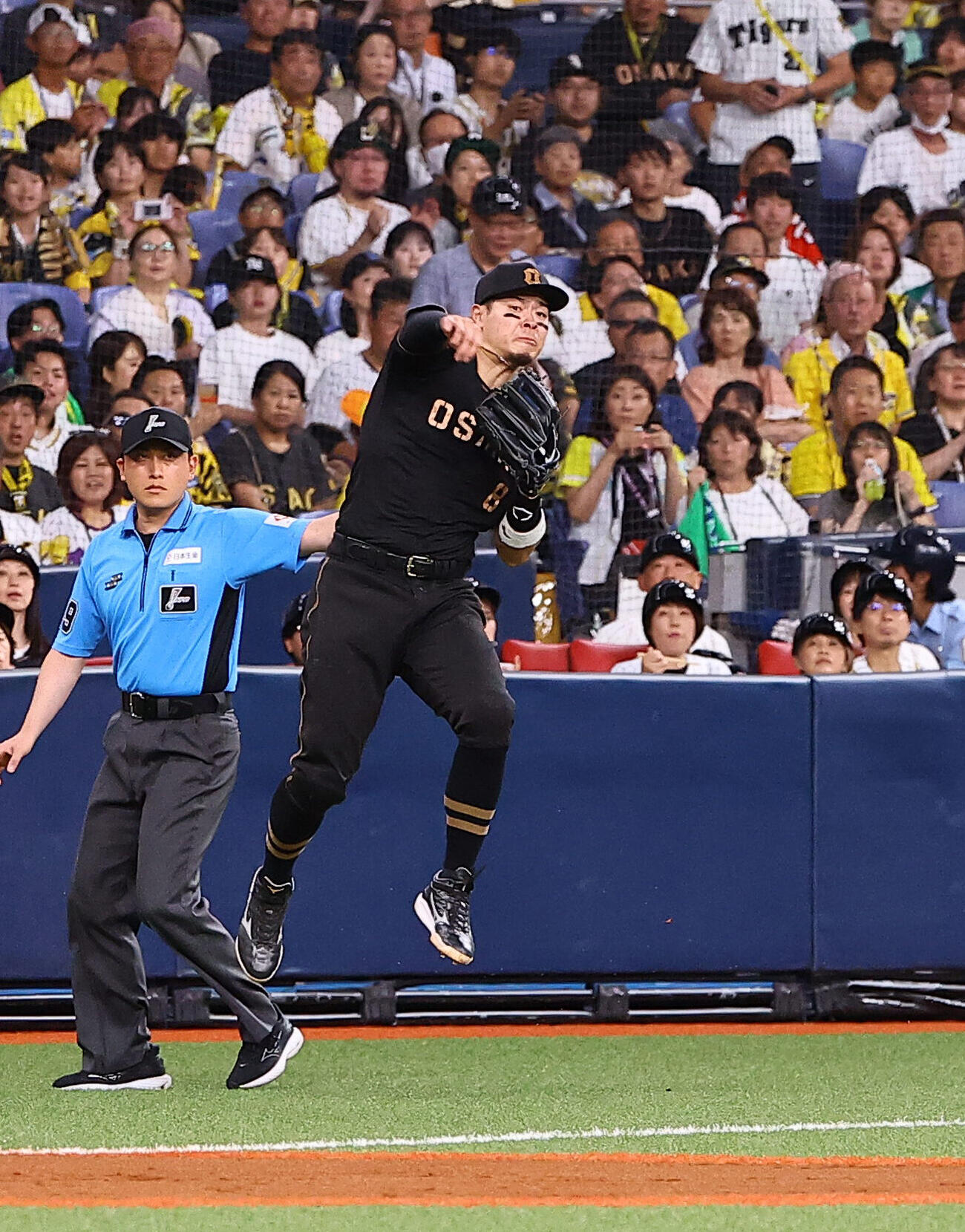 阪神対ヤクルト　2回表ヤクルト無死、佐藤輝明は増田珠の三ゴロをさばく（撮影・上田博志）