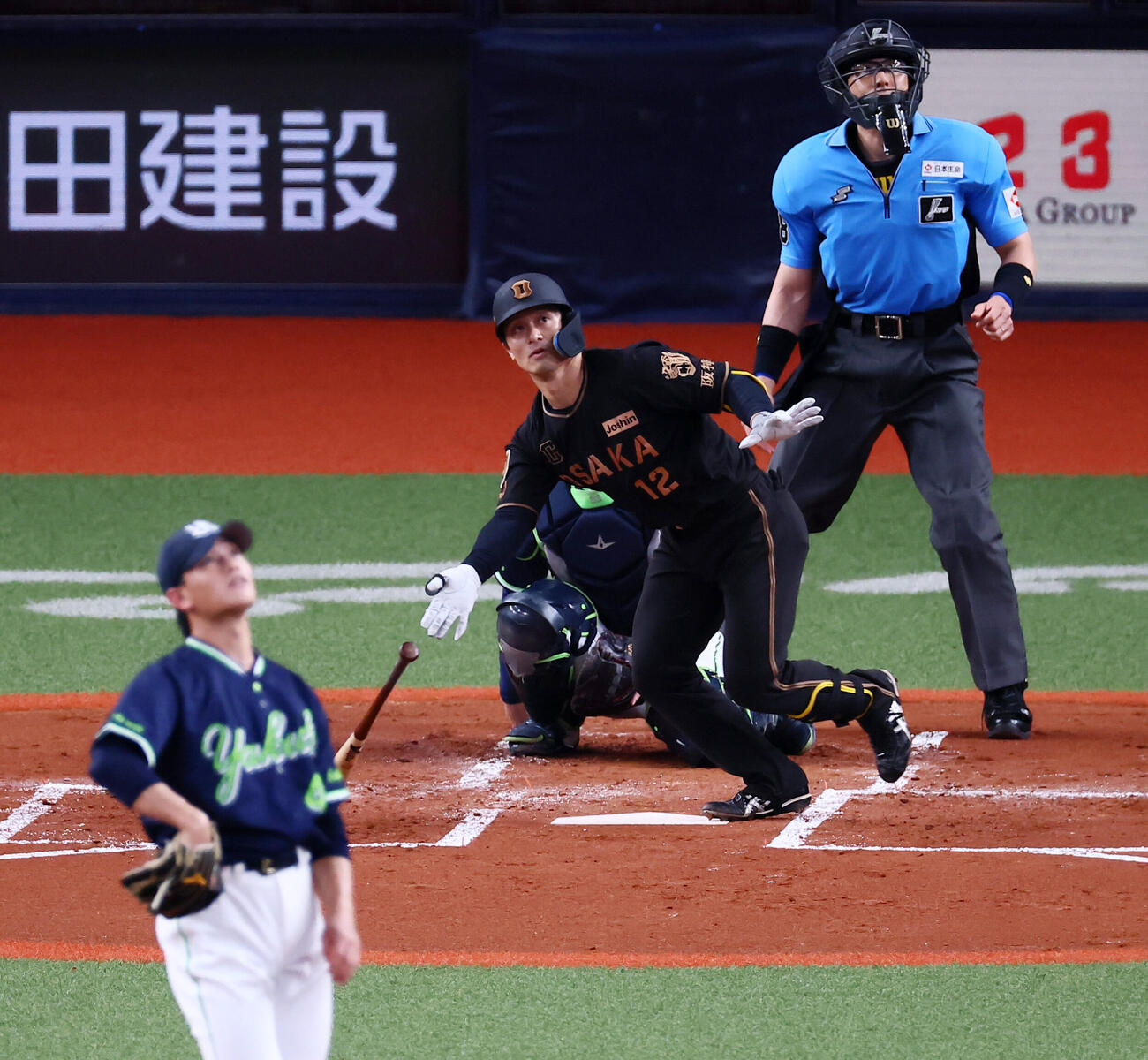 阪神対ヤクルト　2回裏阪神1死、坂本誠志郎は左中間越え先制ソロ本塁打を放つ。投手高橋奎二（撮影・加藤哉）