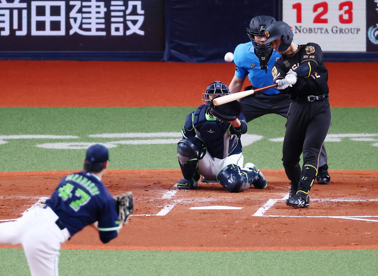 阪神対ヤクルト　2回裏阪神1死、坂本誠志郎は左中間に先制ソロ本塁打を放つ。投手高橋奎二（撮影・加藤哉）