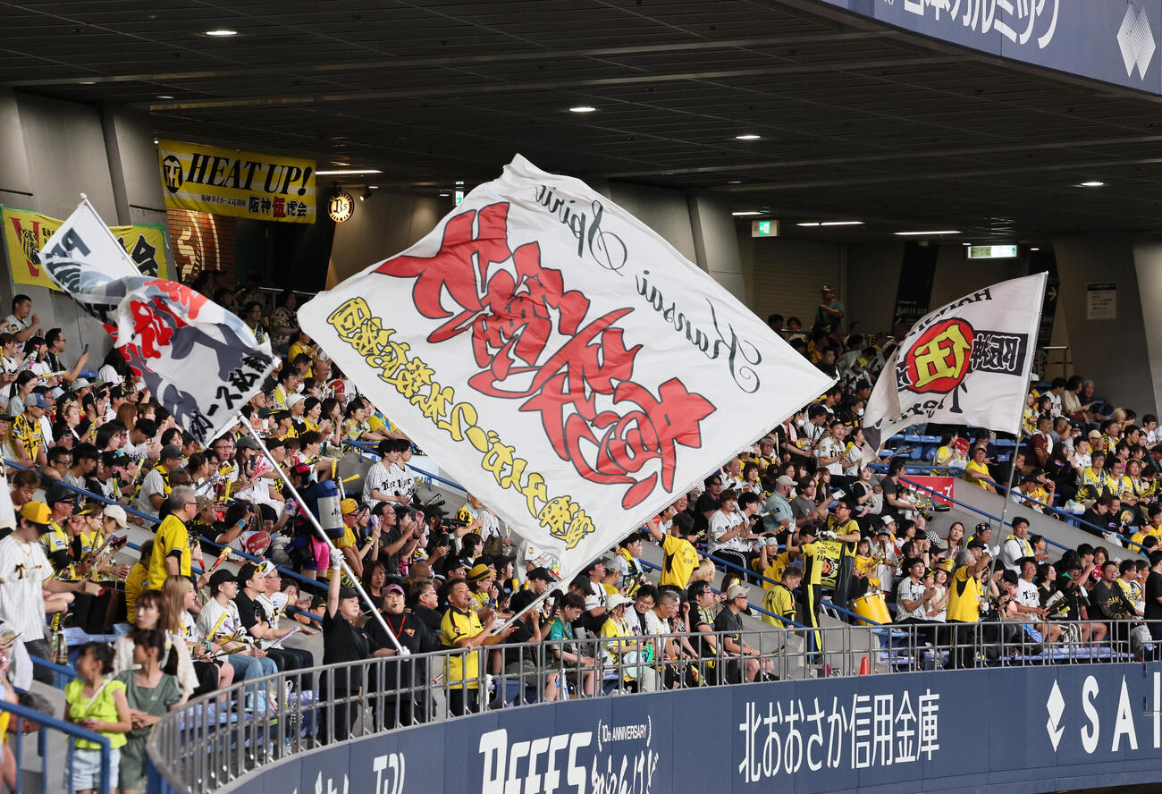 阪神対ヤクルト　声援を送る阪神ファン（撮影・加藤哉）