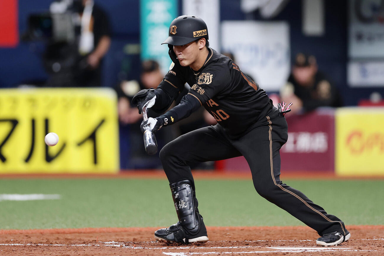 阪神対ヤクルト　4回裏阪神1死一、三塁、セーフティスクイズを試みる元山飛優（撮影・前田充）