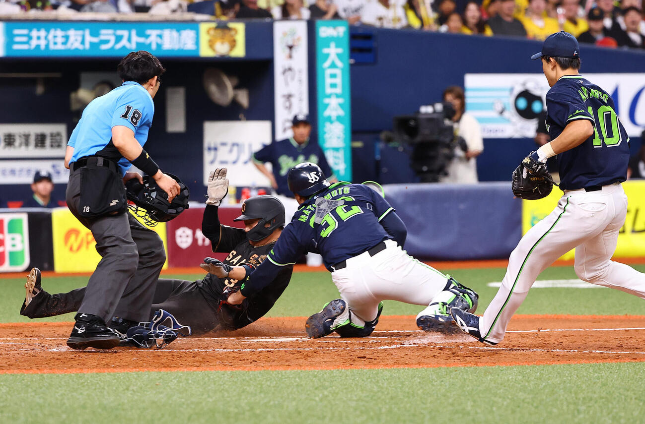 阪神対ヤクルト　4回裏阪神1死一、三塁、大山悠輔（左から2人目）は元山飛優のセーフティースクイズで生還を狙うも憤死する（撮影・上田博志）
