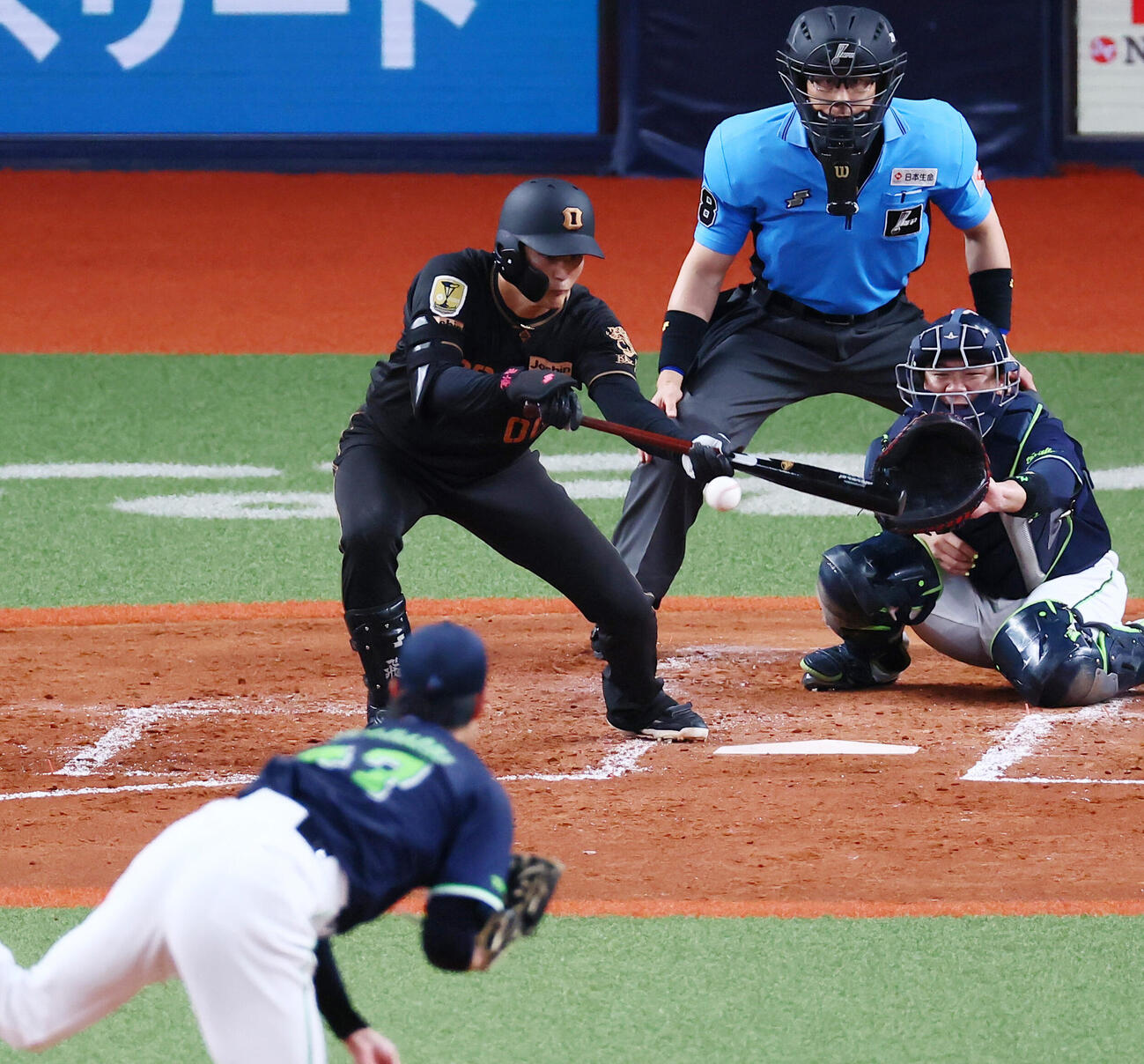 阪神対ヤクルト　4回裏阪神1死一、三塁、元山飛優は一塁線にセーフティスクイズをするも一ゴロとなる。投手高橋奎二（撮影・加藤哉）