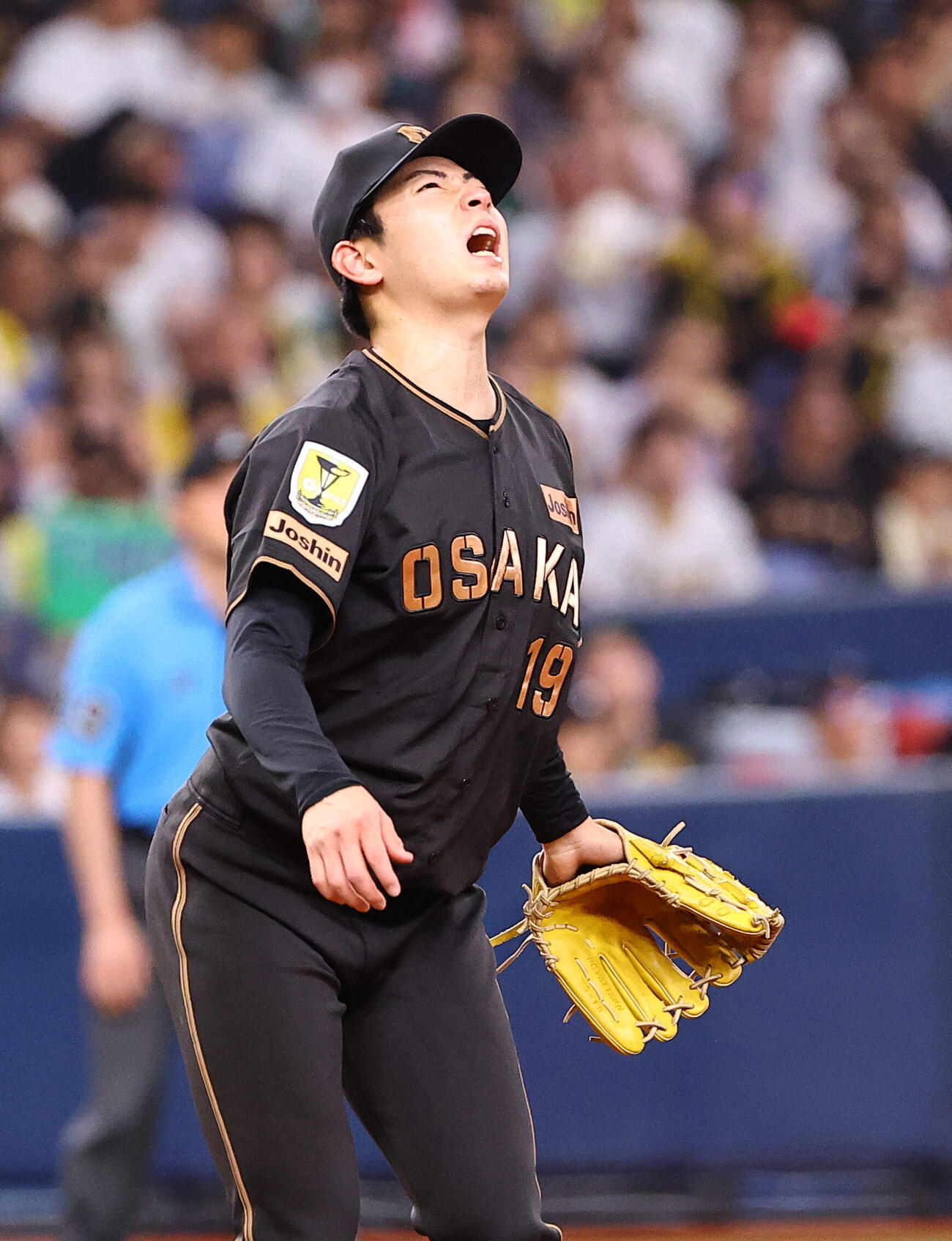 阪神対ヤクルト　3回表ヤクルト1死、下村海翔は武岡龍世の同点本塁打の打球を見上げる（撮影・上田博志）