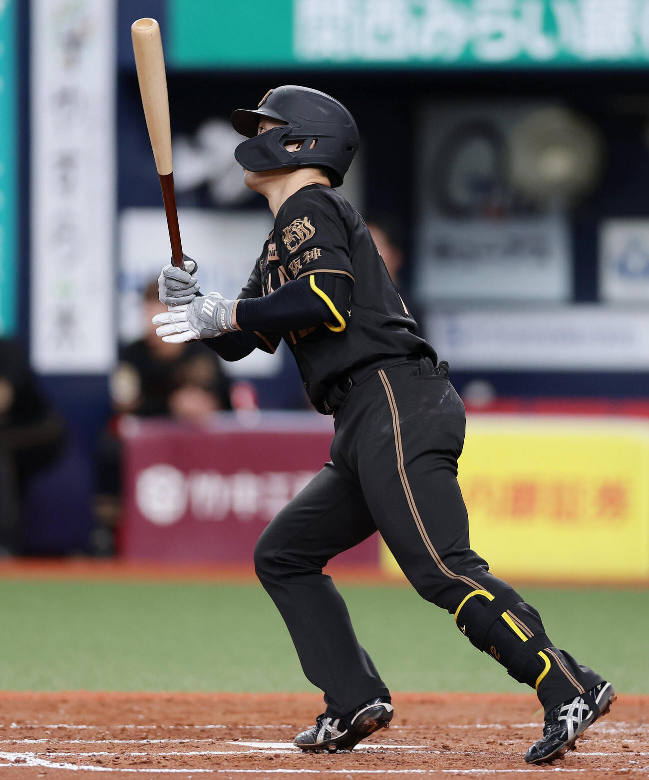 阪神対ヤクルト　4回裏阪神1死一塁、中前打を放つ坂本誠志郎（撮影・前田充）