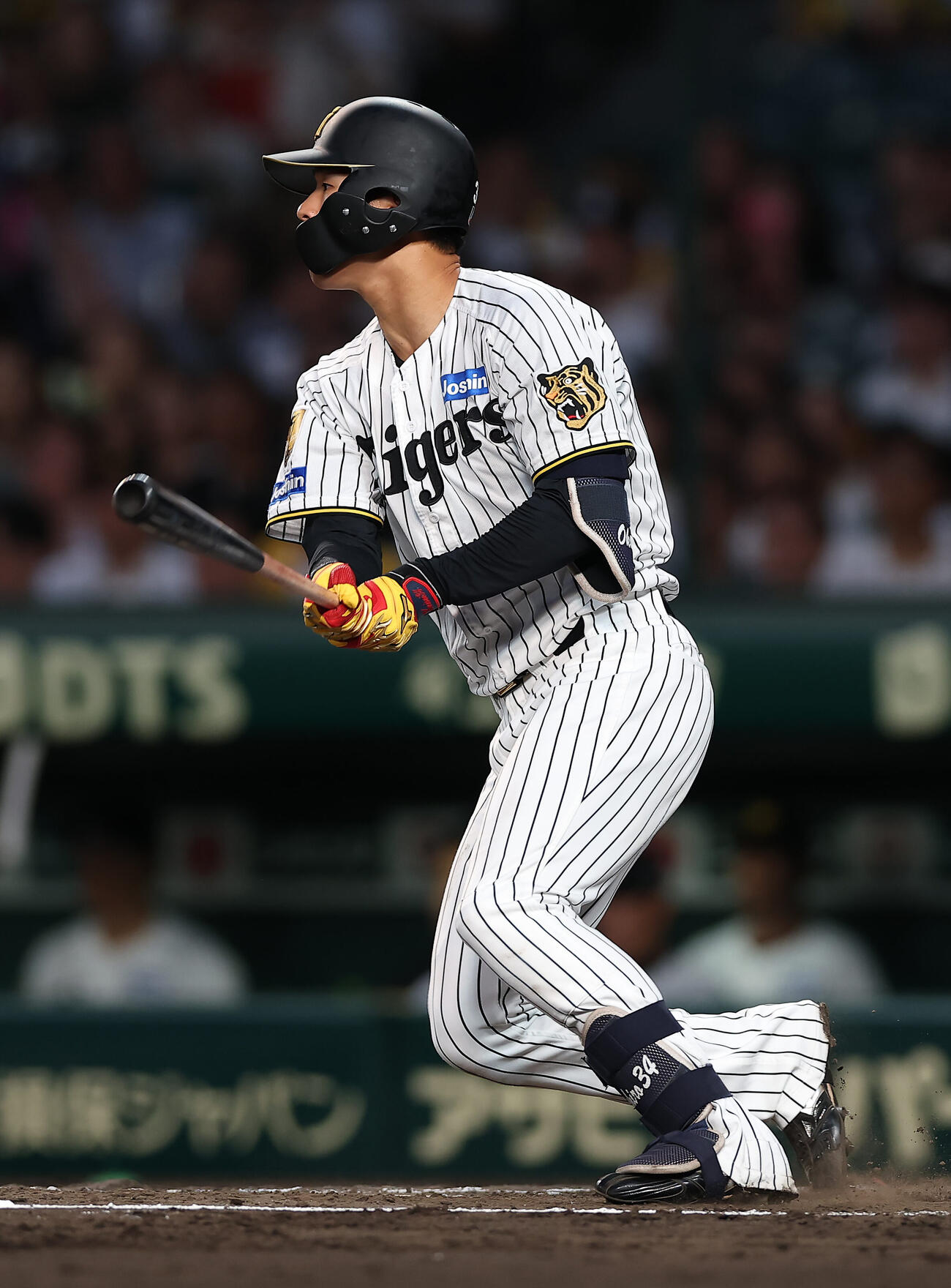 阪神岡城快生（2026年5月撮影）