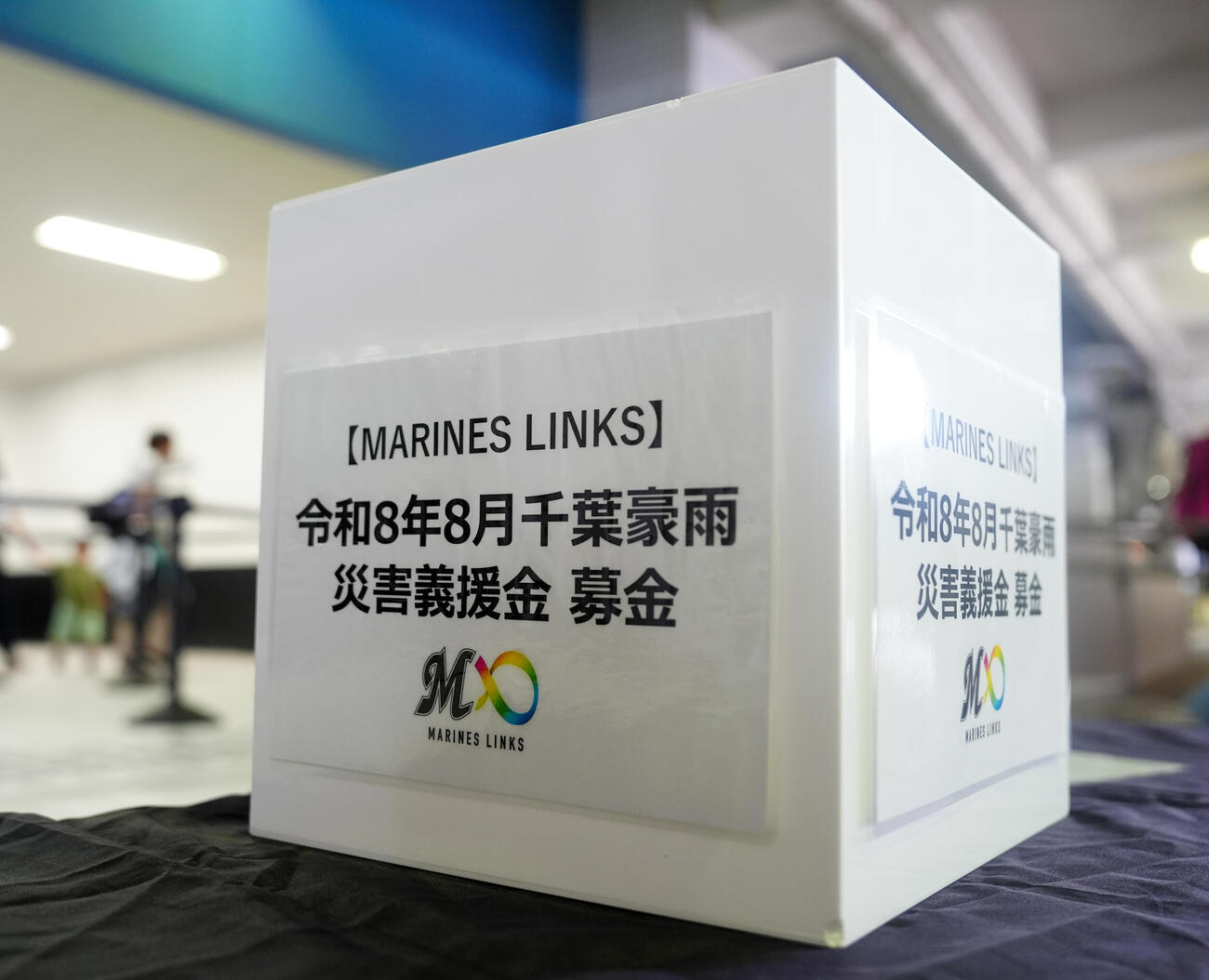 ロッテ対日本ハム　試合前、ロッテの選手たちによる千葉豪雨災害義援金募金活動が行われる（撮影・江口和貴）
