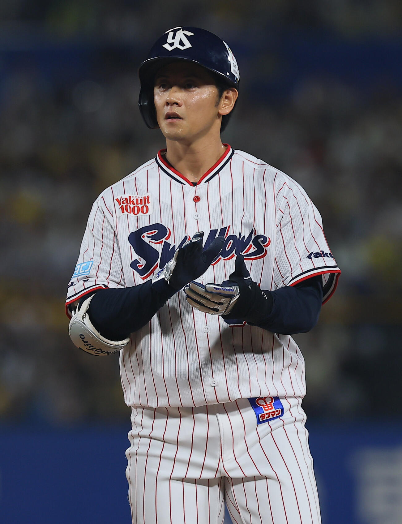 ヤクルト岩田幸宏（2026年7月撮影）