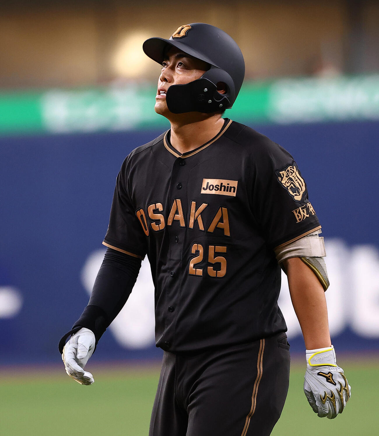 阪神谷端将伍（2026年8月撮影）
