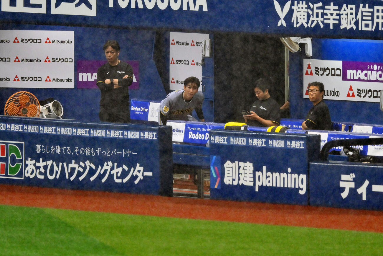 DeNA対阪神　試合前の雨の球場を見る阪神今朝丸裕喜（左から2人目）（撮影・滝沢徹郎）