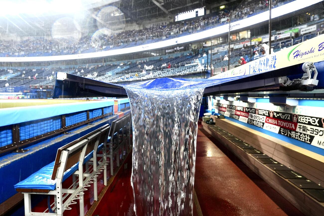 ロッテ対日本ハム　試合前、日本ハムベンチの屋根にたまった雨水が落とされる（撮影・江口和貴）