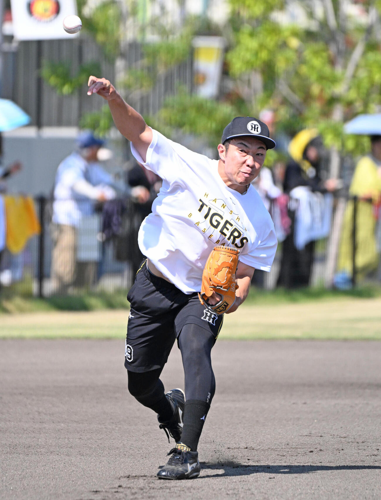 キャッチボールをする阪神石井大智（撮影・石井愛子）