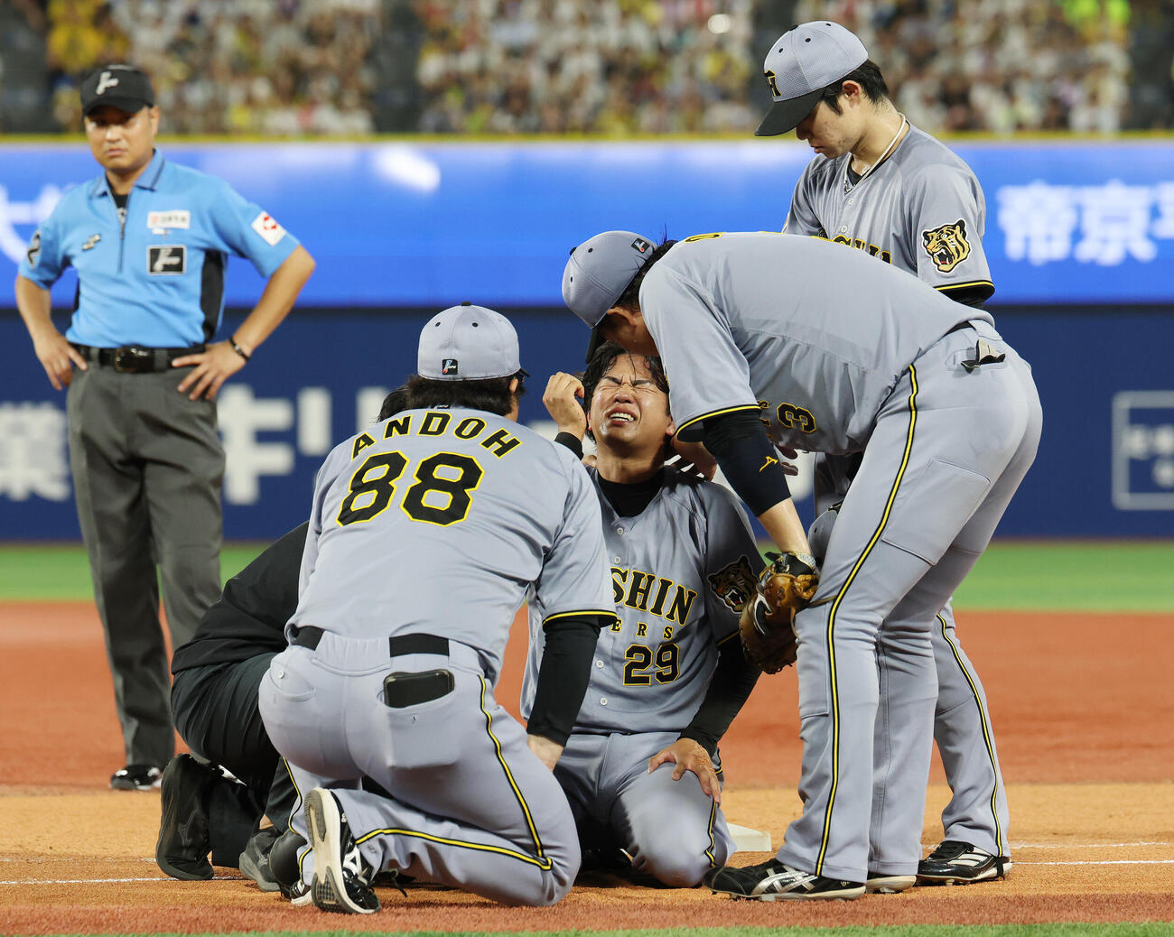 DeNA対阪神　4回裏DeNA2死満塁、勝又温史と衝突した高橋遥人（撮影・宮地輝）