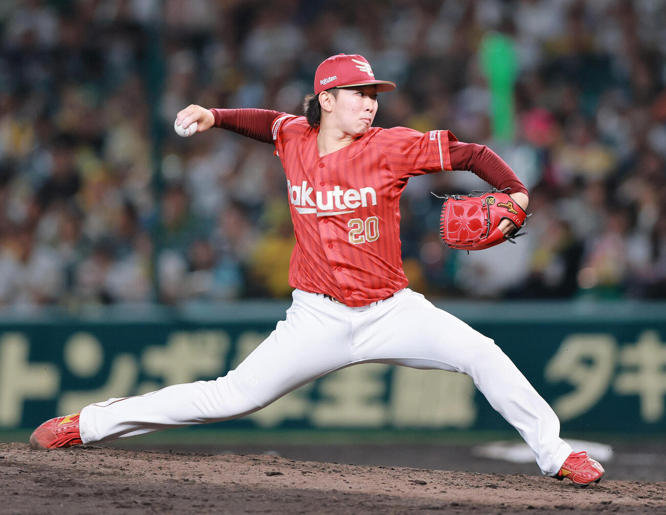 楽天伊藤樹（2026年6月撮影）
