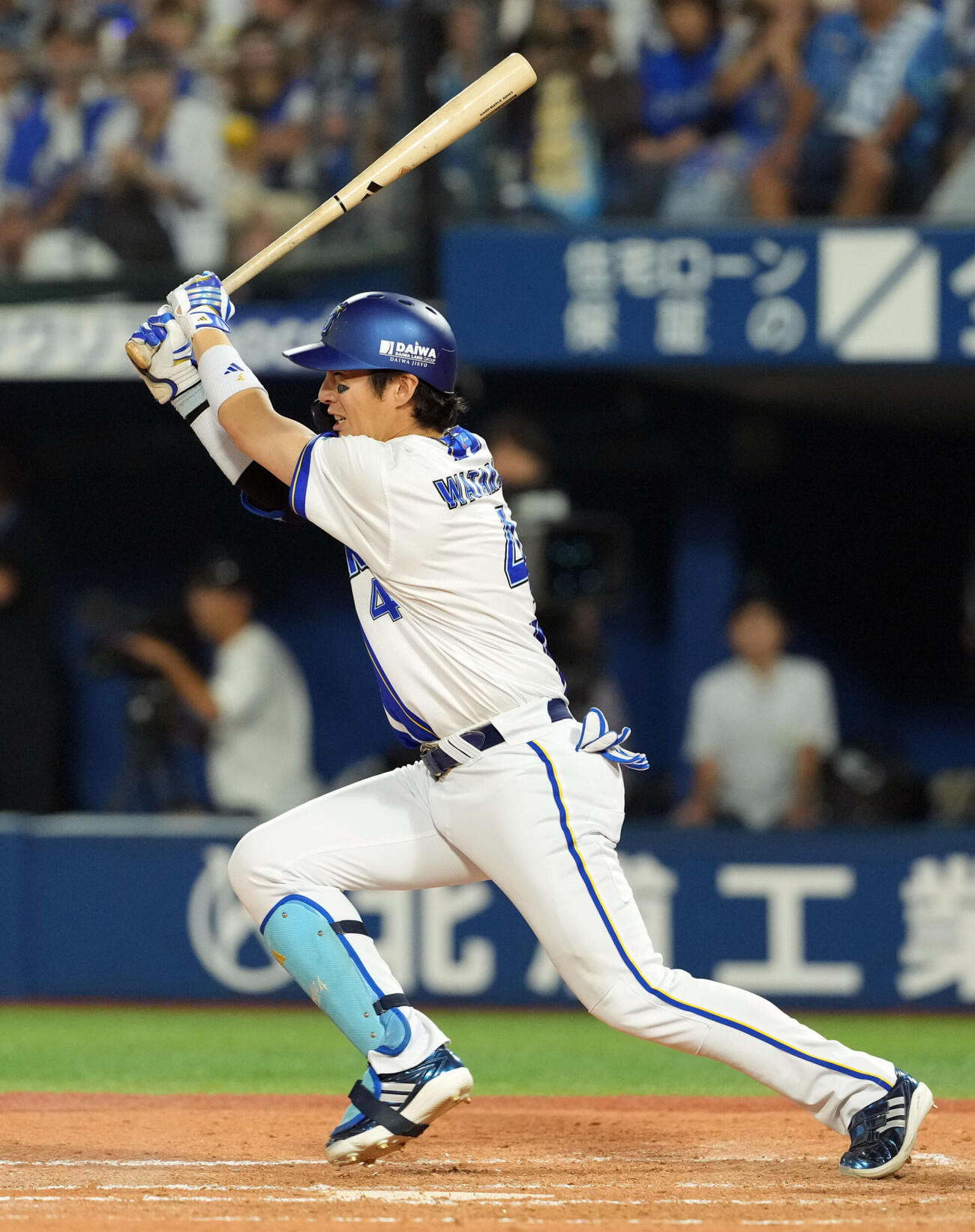 DeNA度会隆輝（2026年8月撮影）