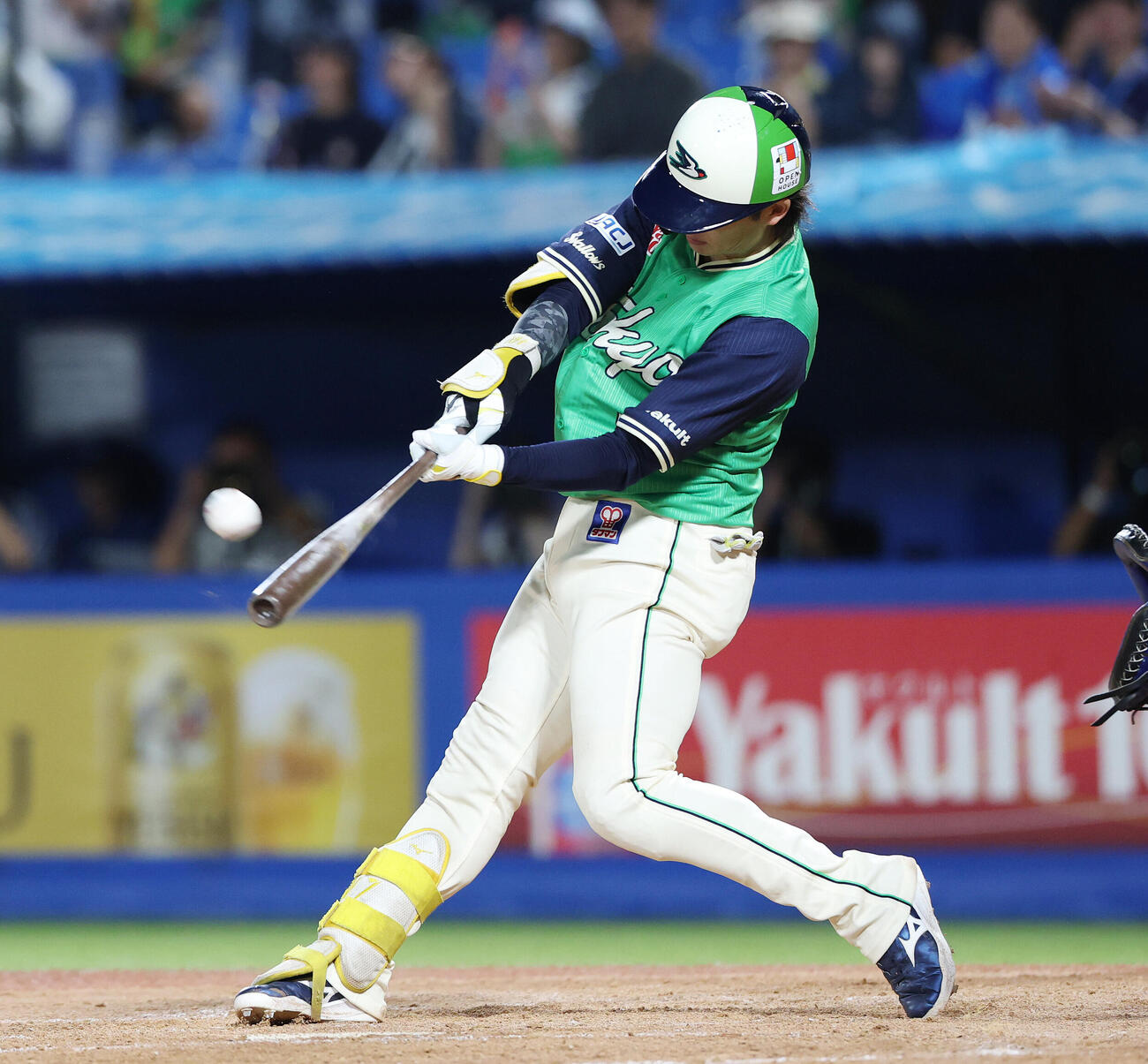 ヤクルト長岡秀樹（2026年8月撮影）