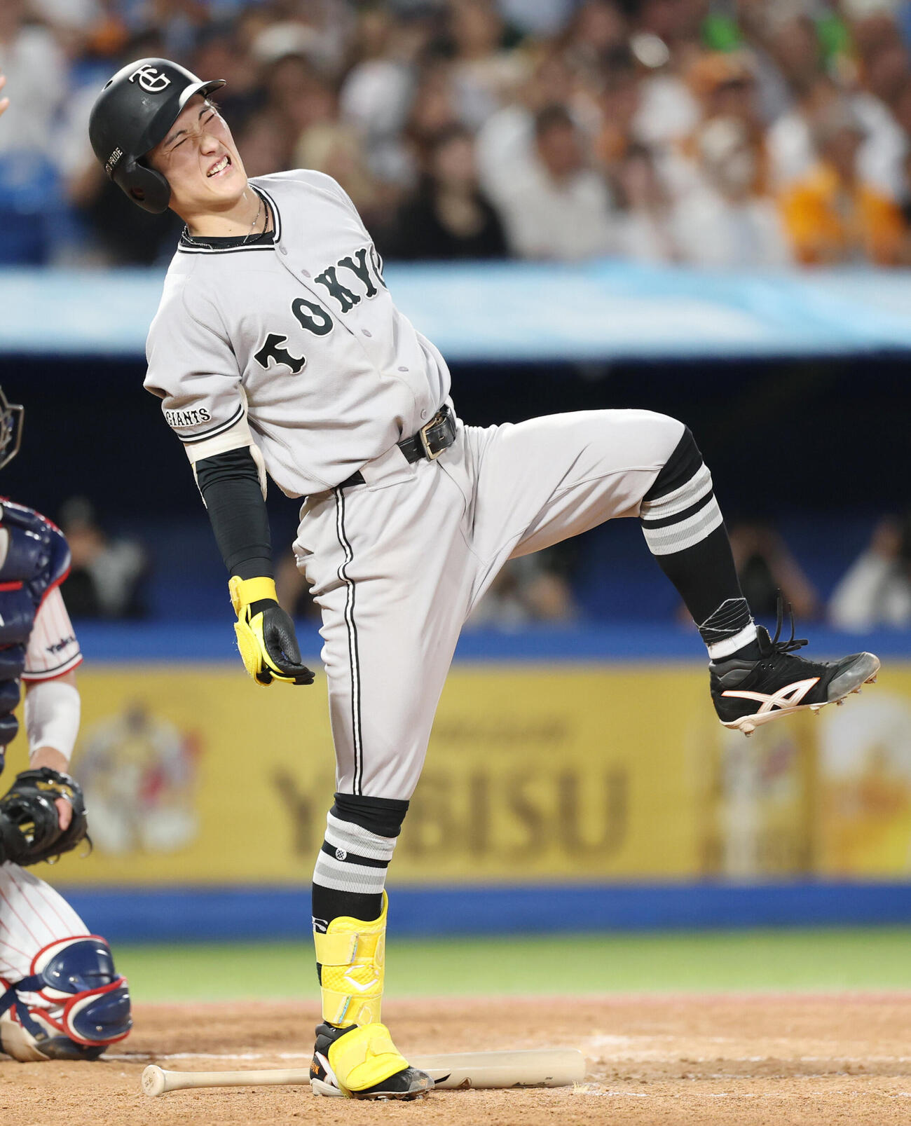 ヤクルト対巨人　2回表巨人1死三塁、死球を受け痛がる浦田俊輔（撮影・増田悦実）